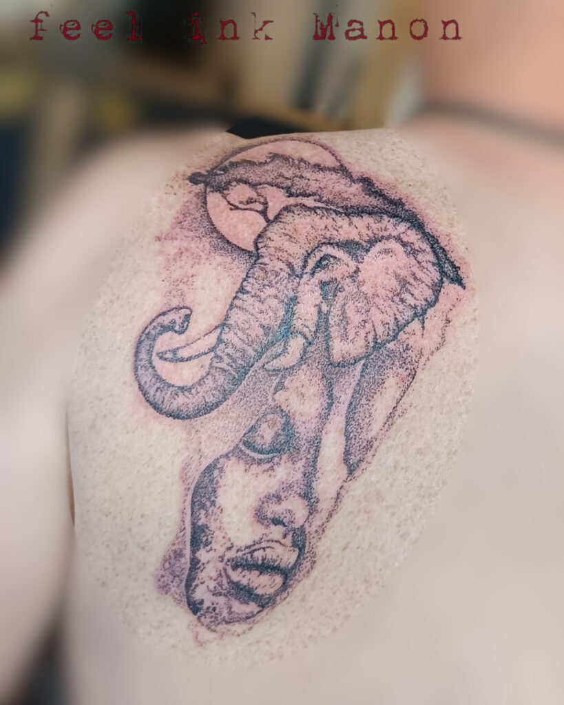 487214227_1234842708643469_4581686396167137889_n