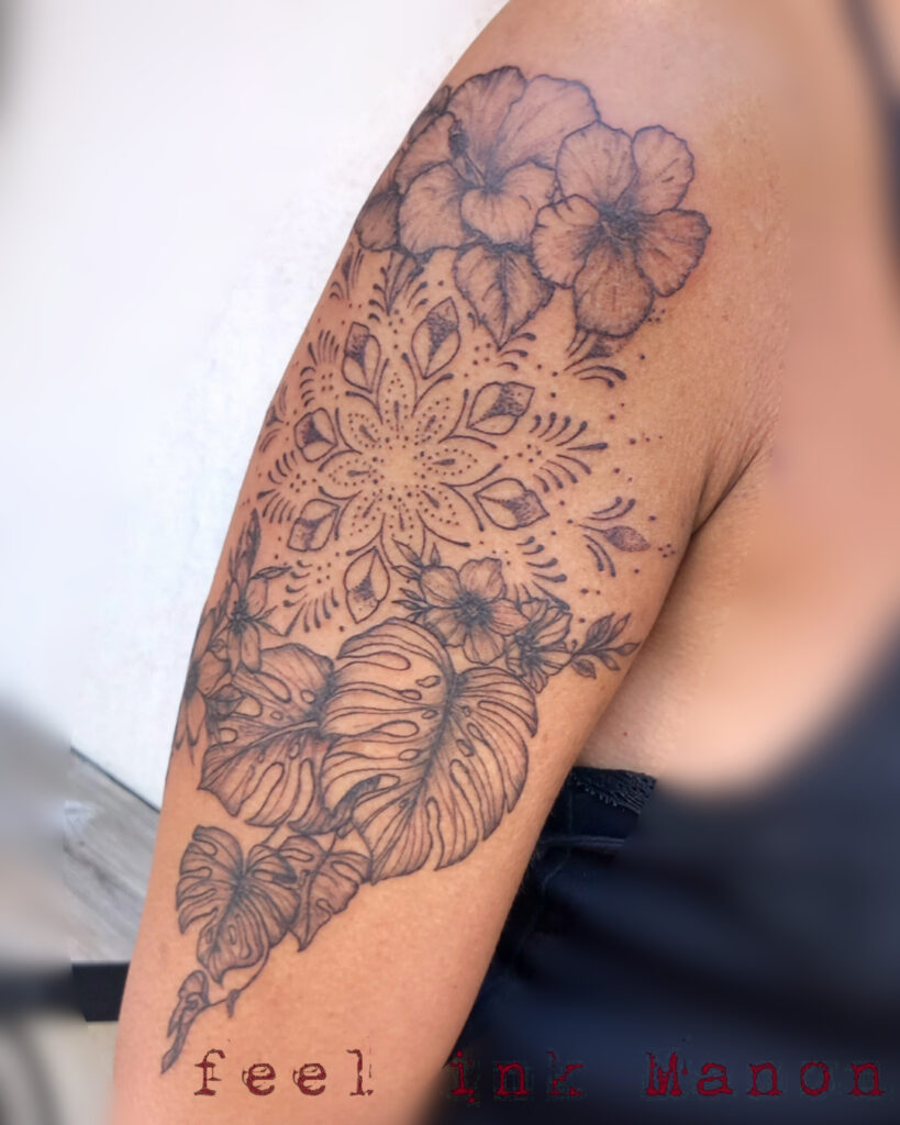 489989282_1245130300948043_3347794663122404471_n