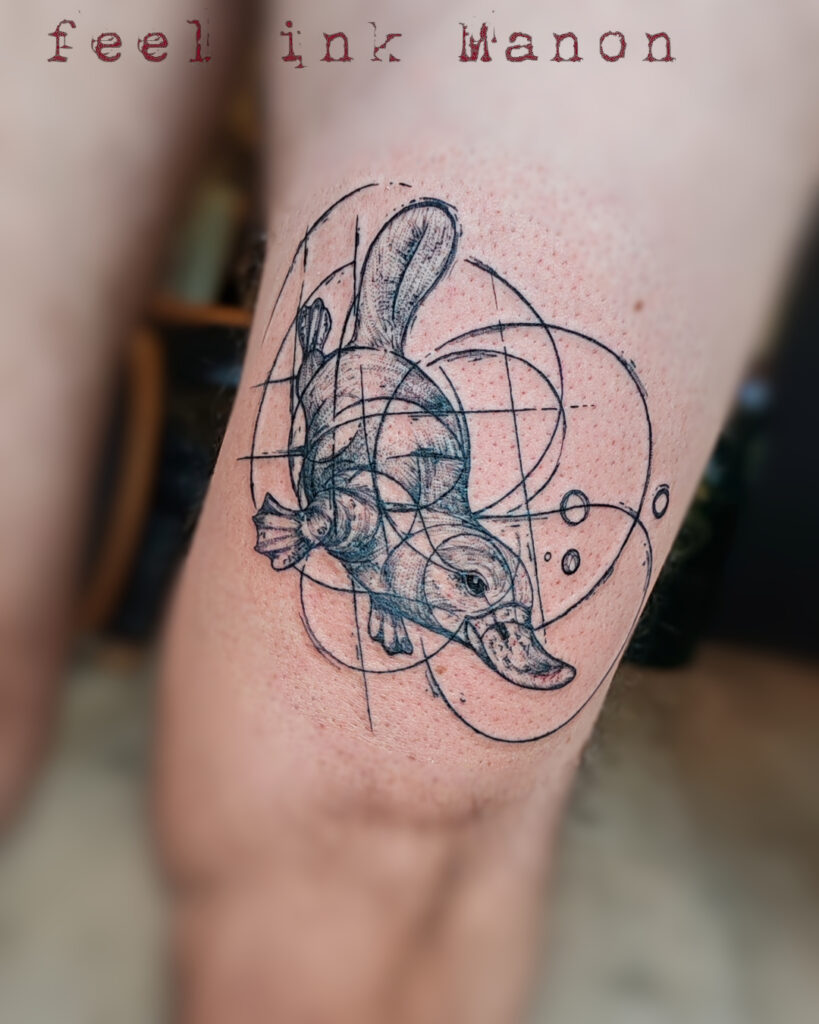 552300431_1393672816093790_5355554208572389090_n